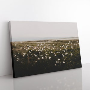 Cotton Grass Nature Photography Print: Calming Farmhouse Wall Art image 9