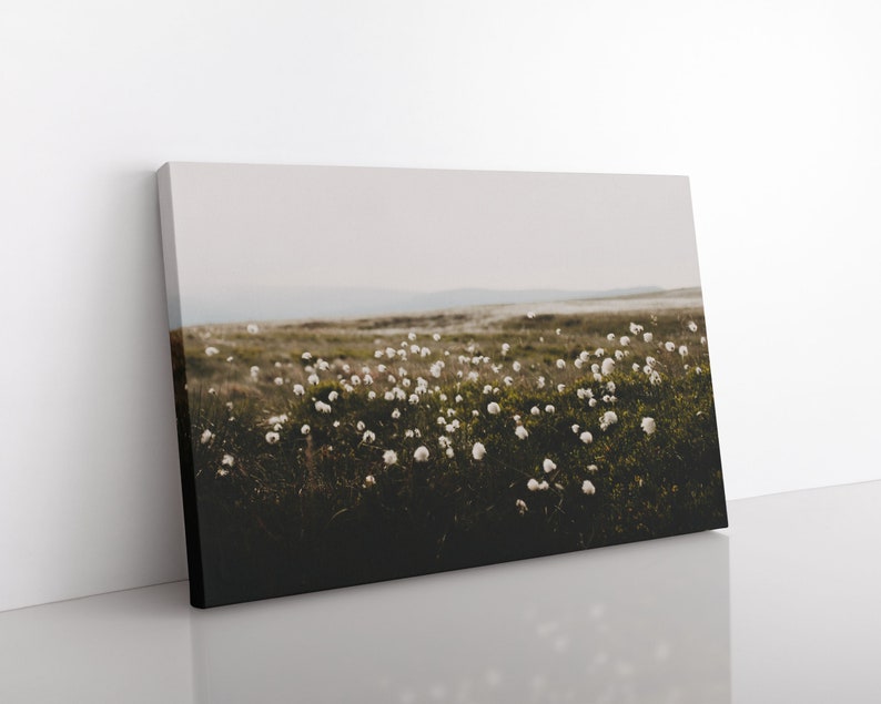 Cotton Grass Nature Photography Print: Calming Farmhouse Wall Art image 9