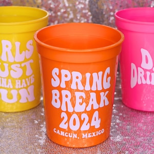 SPRING BREAK 2025 Groovy Cups for Girls Trip | Beach Vacation, Just Wanna Have Sun, Spring Break Drinkware, Day Drinker