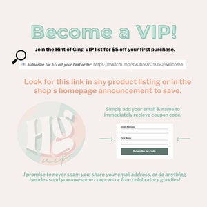 May include: A promotional graphic with text that reads "Become a VIP!" and "Join the Hint of Ging VIP list for $5 off your first purchase." Includes a form to subscribe for a coupon code.