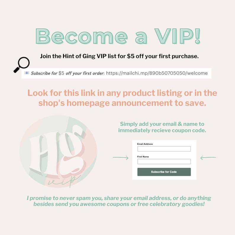 May include: A promotional graphic with text that reads "Become a VIP!" and "Join the Hint of Ging VIP list for $5 off your first purchase." Includes a form to subscribe for a coupon code.