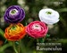 Crochet Ranunculus Pattern - Crochet Flower Pattern for Wedding Bouquets and Home Decoration - Crochet Ranunculus Flower Pattern 