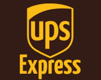 UPS Express Shipping 1 kg USA - +30.00 USD  - 2-3 days delivery