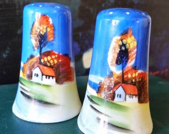 Vintage Made in Japan Country Cottage Salt and Pepper Shakers