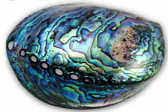 Large 1 1/8" Australian Abalone Shell Ring Pear .… - image 10