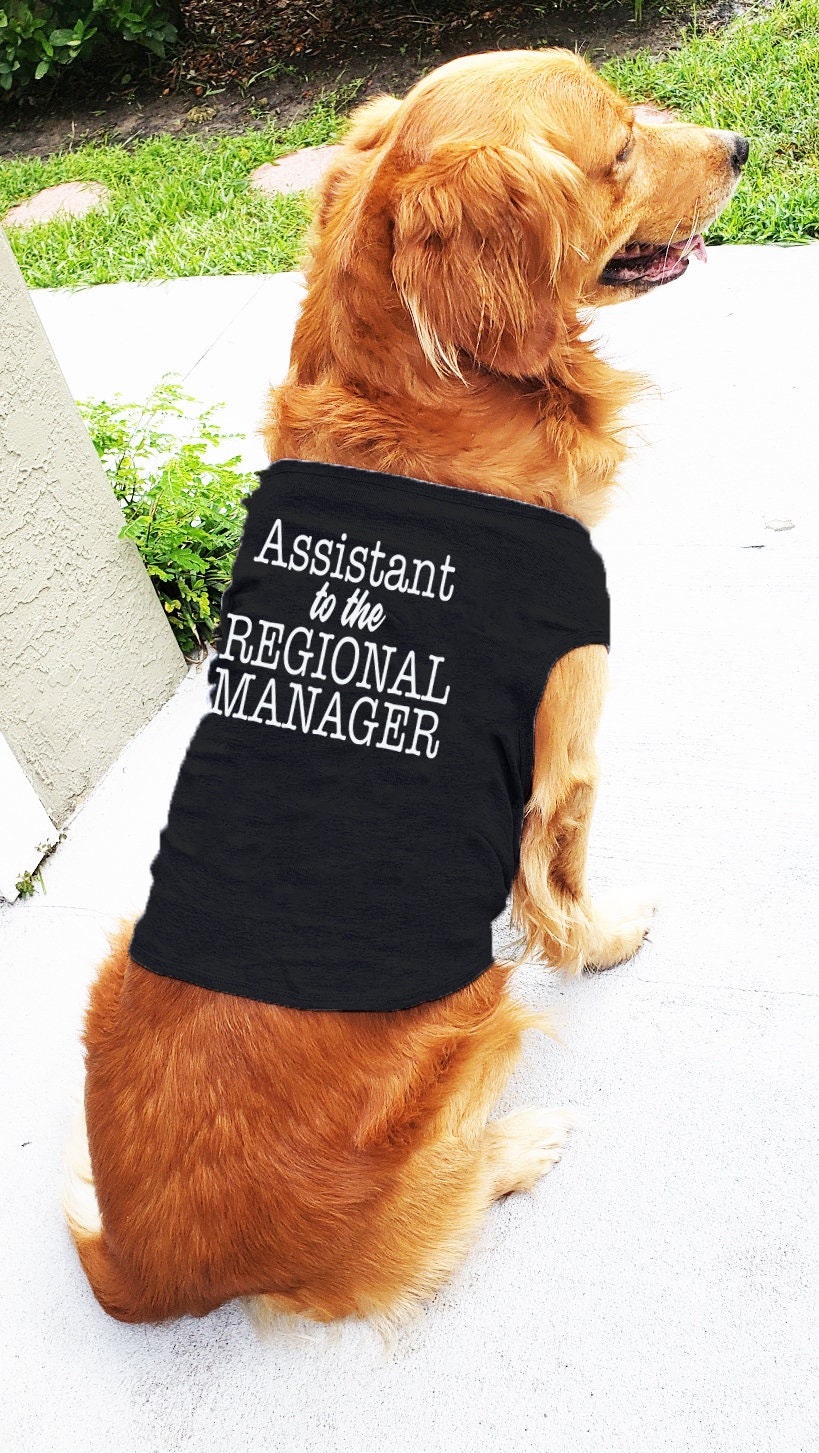 extra large dog coat