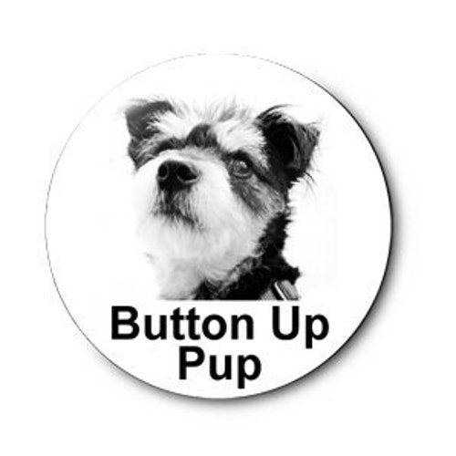 Isla Button Up