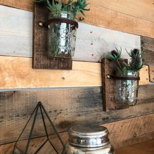 Ball Jar Wall Planter