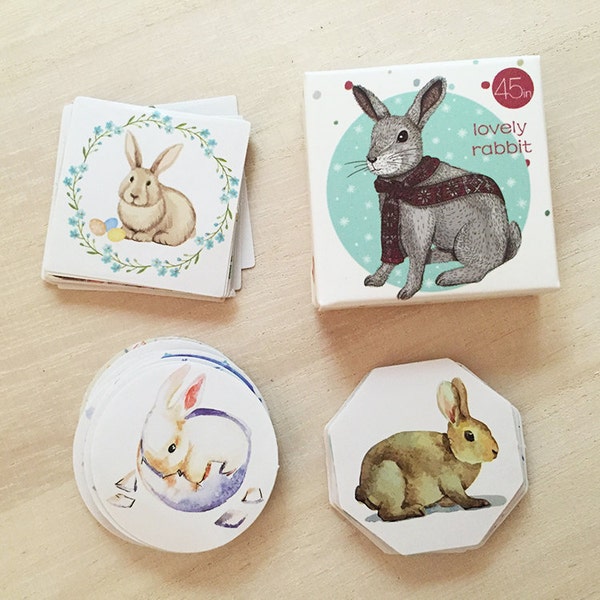 Lovely Rabbit Flake Stickers - Scarf (45 pcs) Korean Stationery Kawaii Stickers Animal Diary Stickers S0479