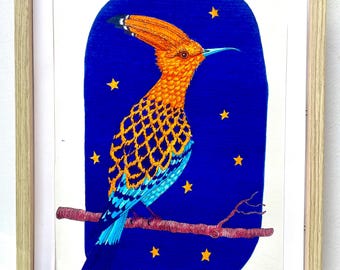 An Irish Hoopoe (2026) | Original pen & ink on paper drawing by Robert Bohan artist