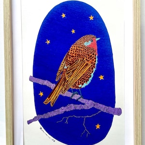 May include: A framed illustration of a bird perched on a purple branch against a dark blue background with yellow stars. The bird has brown and red feathers, with a blue head and beak. The artwork is signed and dated.