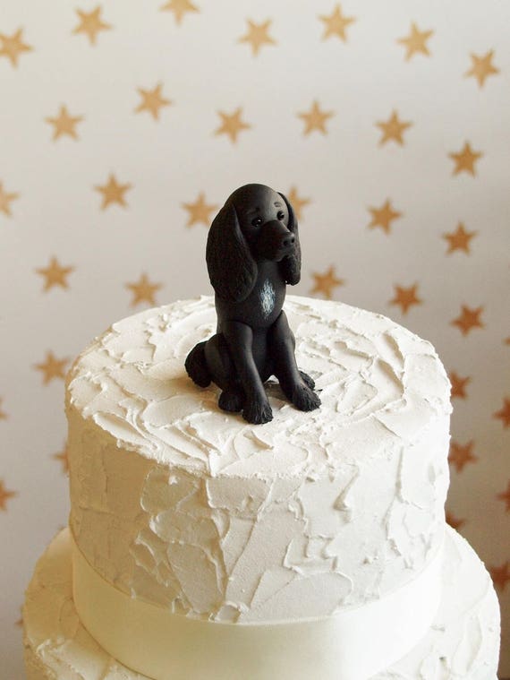 spaniel cake