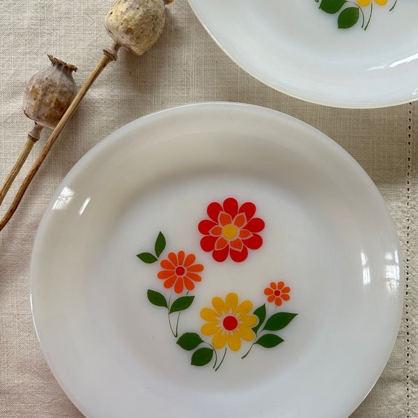 Set of 2 Arcopal France Vintage soup plates