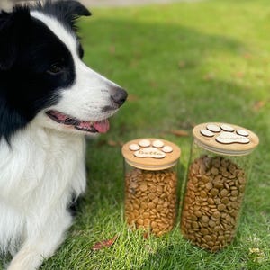 Personalized Dog Treat Jar: Eco-Friendly Glass or Wood Pet Storage