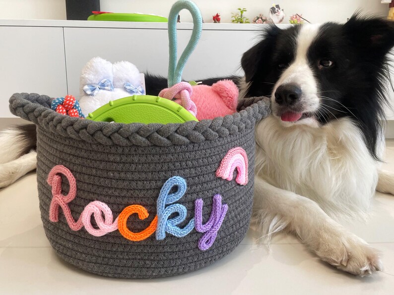 May include: A gray rope basket filled with dog toys, including a green disc, pink plush toy, and white booties. The basket has the name "Rocky" in colorful yarn letters and a rainbow applique. A black and white dog is next to the basket.