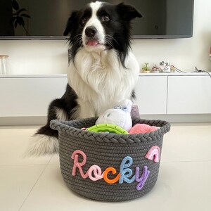 May include: A gray woven rope basket with the name "Rocky" in colorful letters and a rainbow applique. The basket is filled with dog toys, and a black and white Border Collie dog is sitting behind it.