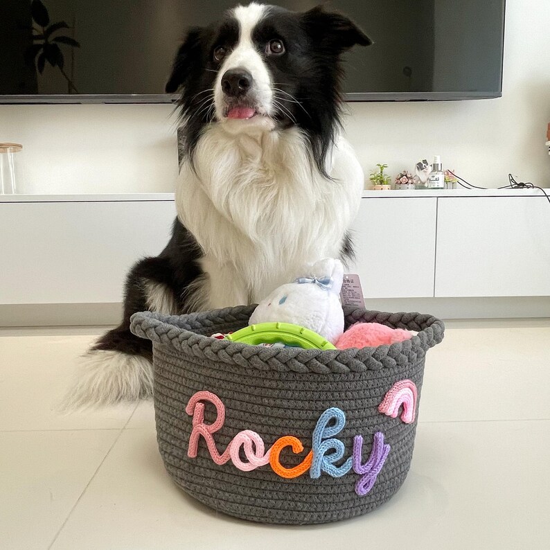 May include: A gray woven rope basket with the name "Rocky" in colorful letters and a rainbow applique. The basket is filled with dog toys, and a black and white Border Collie dog is sitting behind it.