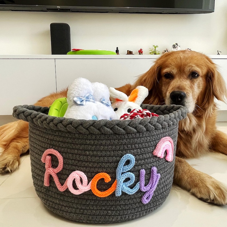 May include: A gray rope basket with the name "Rocky" in colorful yarn letters. The basket contains stuffed toys, including a white bunny and a blue-bowed plush. A golden retriever dog is next to the basket.