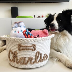 May include: A white rope basket with the name "Charlie" in brown script, filled with dog toys, including a plush bunny, a pink pig, and a rope toy. A black and white Border Collie dog is lying next to the basket.