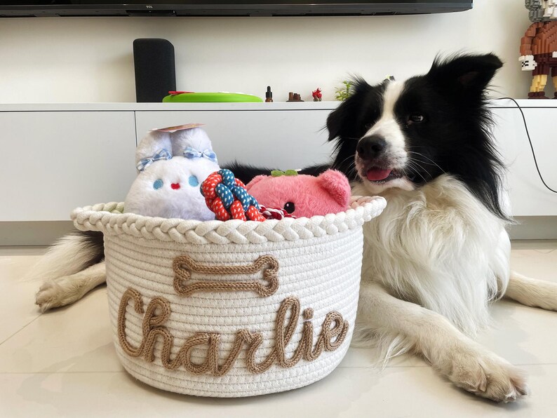 May include: A white rope basket with the name "Charlie" in brown script, filled with dog toys, including a plush bunny, a pink pig, and a rope toy. A black and white Border Collie dog is lying next to the basket.