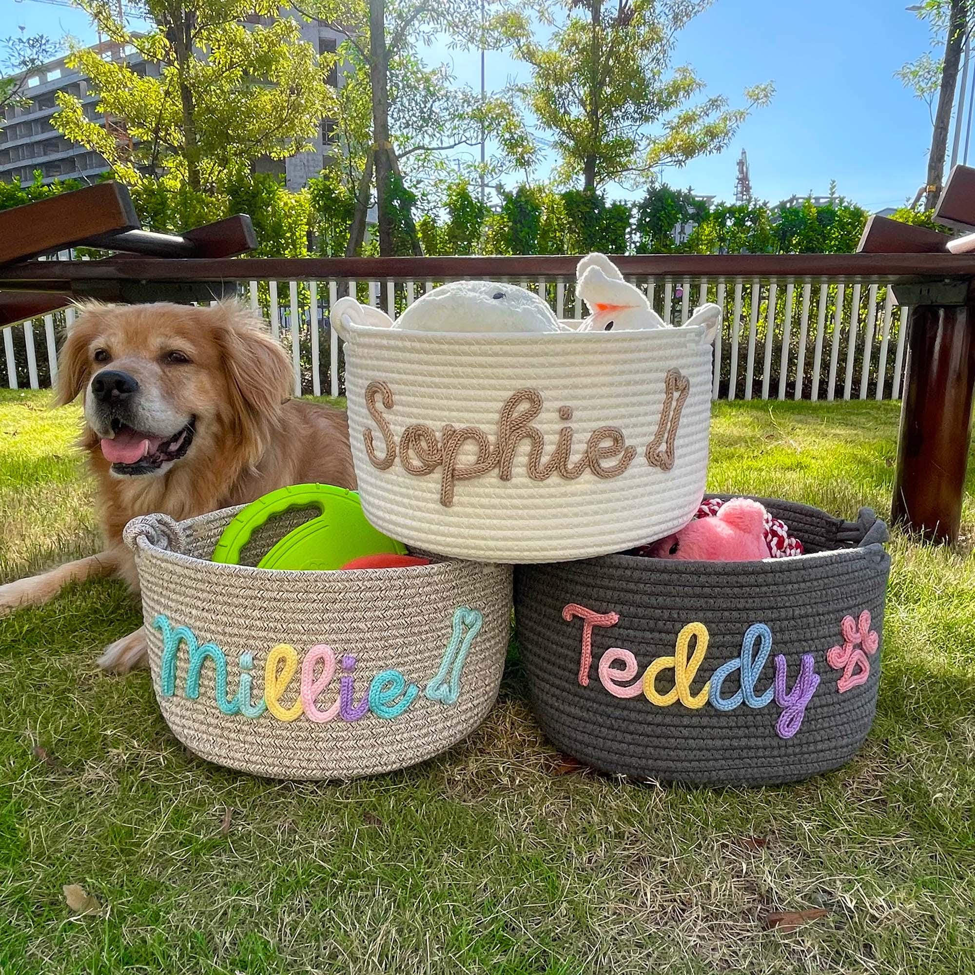Hundespielzeug box - Etsy.de