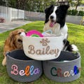 Personalized Dog Toy Basket, Custom Name Basket, Pet Toy Storage, Rope Cotton Basket Gift, Pet Toy Basket, Pet Name Gift, Custom Toy Storage