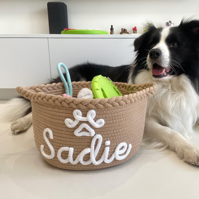 May include: A tan rope basket with the name "Sadie" in white script, filled with dog toys. A black and white Border Collie dog is lying next to the basket, with its tongue out. The basket has a paw print design.