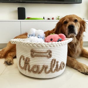 May include: A cream-colored rope basket with the name "Charlie" in brown rope lettering and a bone-shaped accent. The basket contains white booties with blue bows and a pink plush toy. A golden retriever dog is resting behind the basket.