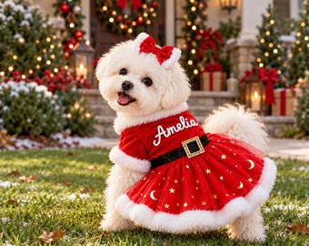 Christmas Dog Dress with Bow, Santa Outfit for Small Dogs, Red Velvet Pet Holiday Costume, Festive Puppy Dress, Girl Dog Christmas Clothes