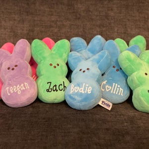 May include: Seven plush bunny-shaped Peeps, each a different color and personalized with a name. The names are Lennon, Teegan, Zach, Bodie, Collin, and Stephen. The Peeps are arranged in a row on a brown surface.