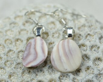 Custom Wampum Seashell Earrings on Sterling Silver French Hooks