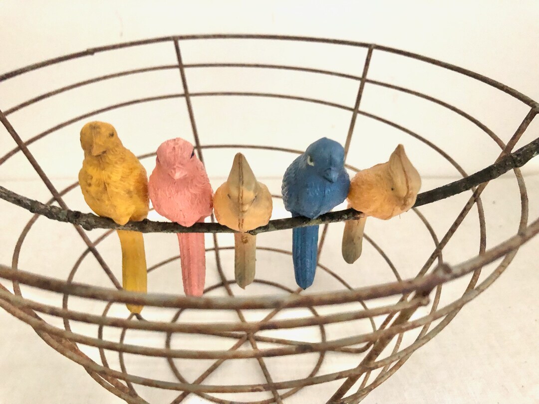 Vintage 1920s Celluloid Bird Rattles Lot of 5 - Etsy