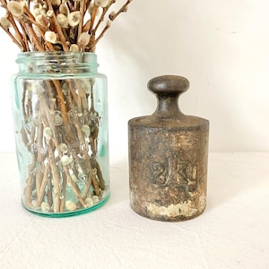 May include: A light blue glass Mason jar filled with pussy willow branches next to a heavy, cylindrical cast iron weight with a rounded handle and the embossed text 2kg on its front surface, showing a weathered, dark brown metallic finish.