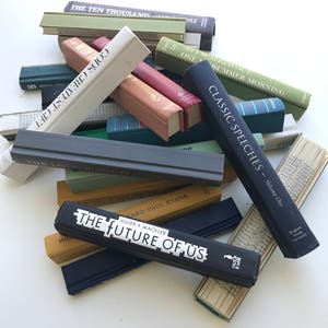 Trimmed Book Spines (Loose) | DIY Secret Door Books | Made with Real Books | Vintage Decorative | Faux Fake Facade | Choose Your Colors