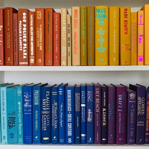 May include: A bookshelf with two shelves filled with a variety of colorful books. The top shelf has books with orange, yellow, and brown spines. The bottom shelf has books with blue, purple, and teal spines. The books are arranged in a rainbow pattern.