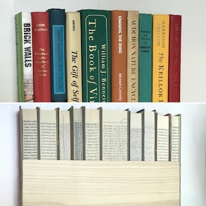 Trimmed Book Spines™ (Wood Panel) | Secret Door Books™ | Real Cut Books™ | Custom Wall Art Gallery | Hidden Storage | Made w Real Books!
