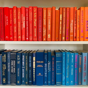 May include: A bookshelf with two shelves, the top shelf is filled with red books and the bottom shelf is filled with blue books. The books are arranged in a rainbow pattern. The books have titles such as "Last to Die", "Catching Fire", "The Relic Master", "Child 44", "Grit", "The Alliance", "Silks", "The Hit", "Simple Genius", "Breakpoint", "Texas", "Killer View", "East to the Azores", "Without Mercy", "A.D. 30", "Inside, Outside", "Michael Fortune", "The Look of Love", "Sky Willing", "61 Hours", "Someone to Love", "Blaze", and "Simple Genius".