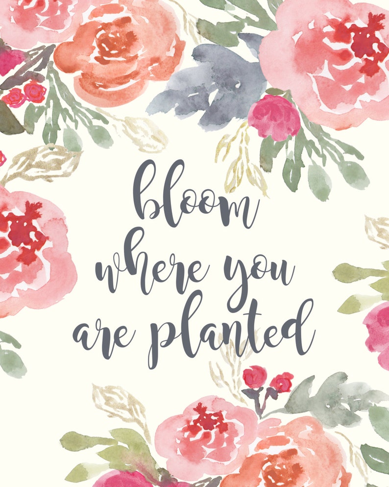 Bloom where you are planted floral quote print quotes floral Etsy