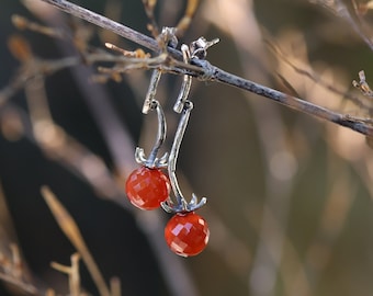 Tomato earrings in oxidized silver with Carnelian - botanical inspired earrings