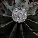 Collana nome bubble Argento925 | Annag Collection