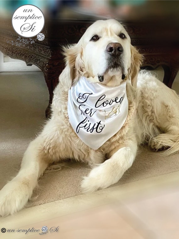 Best dog wedding bandana hot sale