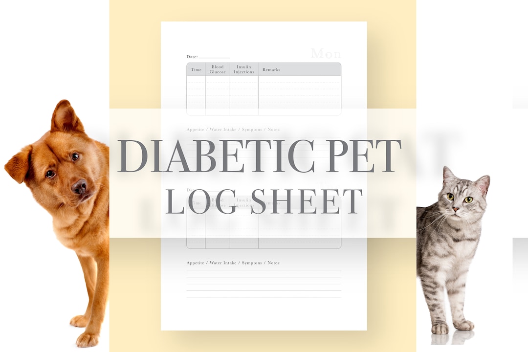 Diabetic Pet Log Sheet | Instant Download | DIY Blood Sugar Log ...