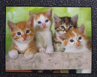 21 SOMEBODY TO LOVE KITTENS CATS QUILTING FABRIC PANEL NO