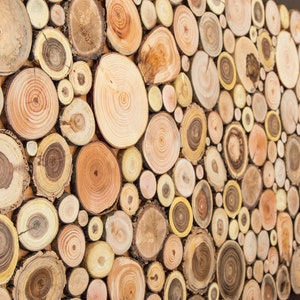 Side image. You can see in detail the shape, size and tonality of the slices of tree branches of different Mediterranean species in this beautiful sliced wood log wall art.  Size: 48 x 24 inches. Can be personalised.