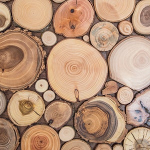 May include: A close-up of a wall covered in various sizes of wood slices, each with a unique grain pattern and color. The wood slices are arranged in a random pattern, creating a rustic and natural look.