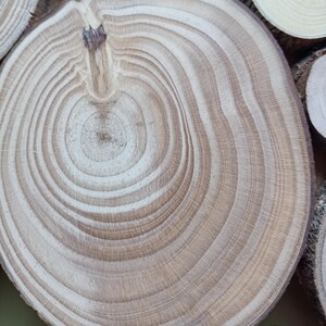 Puede incluir: Una rodaja de madera circular que muestra anillos de crecimiento prominentes en tonos alternos de beige claro y marr&oacute;n medio. La superficie presenta un nudo marr&oacute;n oscuro distintivo cerca del borde superior, con una textura lijada y suave.