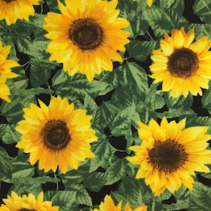 EOB 27&quot;x44&quot; Sunflower Sunset - Small Leafy Sunflowers on Black by Timeless Treasures Spring Summer Floral Cotton Fabric 3/4 Yard FREESHIP90