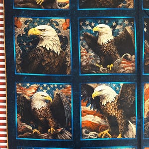 NEW! Panel - 1776 by Quilting Treasures USA Eagle Blocks Patches on ...