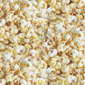 Half Yard - Popcorn Favorite Foods by Elizabeth Studios - Snack Junk Food Movie Time Cotton Fabric