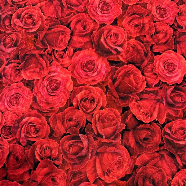 Red Rose Fabric Etsy